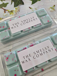 Wax melt snap bar in the scent the little bookstore by the emally wax company