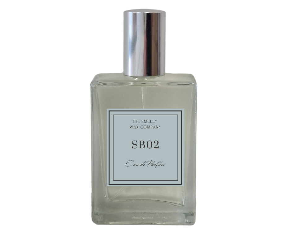 Eau De Parfum SB02 Inspired by Viktor Rolf Spicebomb for Men 50ml