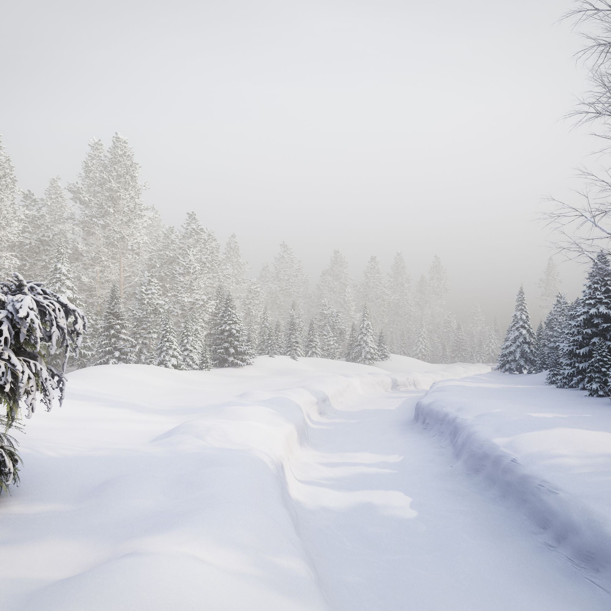 Frosted Wonderland Wax Melt Snapbar - NEW!